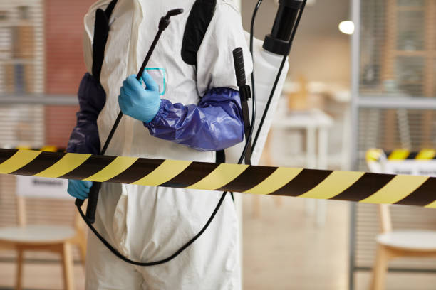 Professional Sewage Cleanup technician working in Belleville, NJ