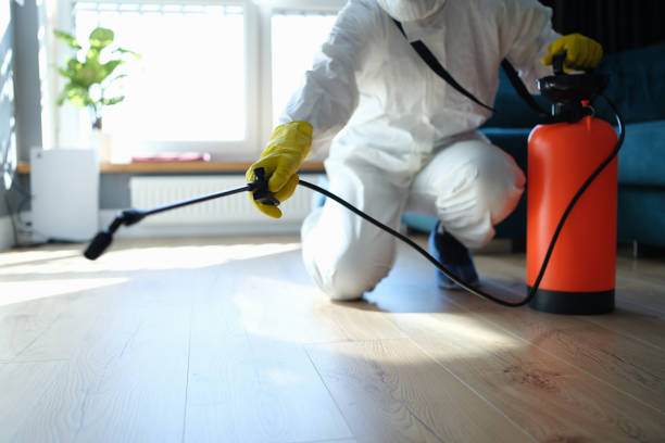 Reliable Sewage Cleanup contractor in Belleville, NJ by Dulley Family Biohazard Services